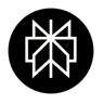 Perplexity Deep Research
