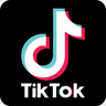 TikTok Analyser