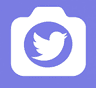 Twitter screenshot